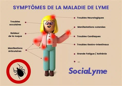 maladie de lyme chronique symptômes